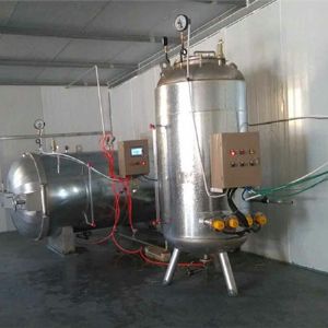 电蒸汽发生器
